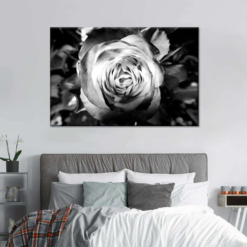 Monochromatic Rose Wall Art