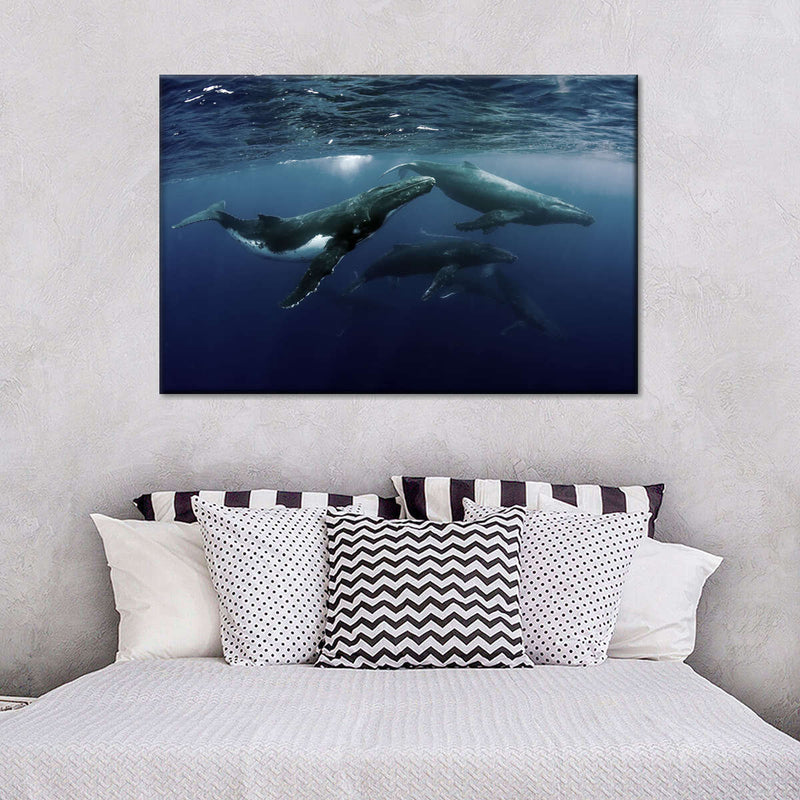 Humpback Whales Wall Art