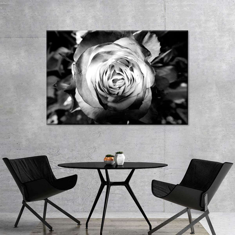 Monochromatic Rose Wall Art