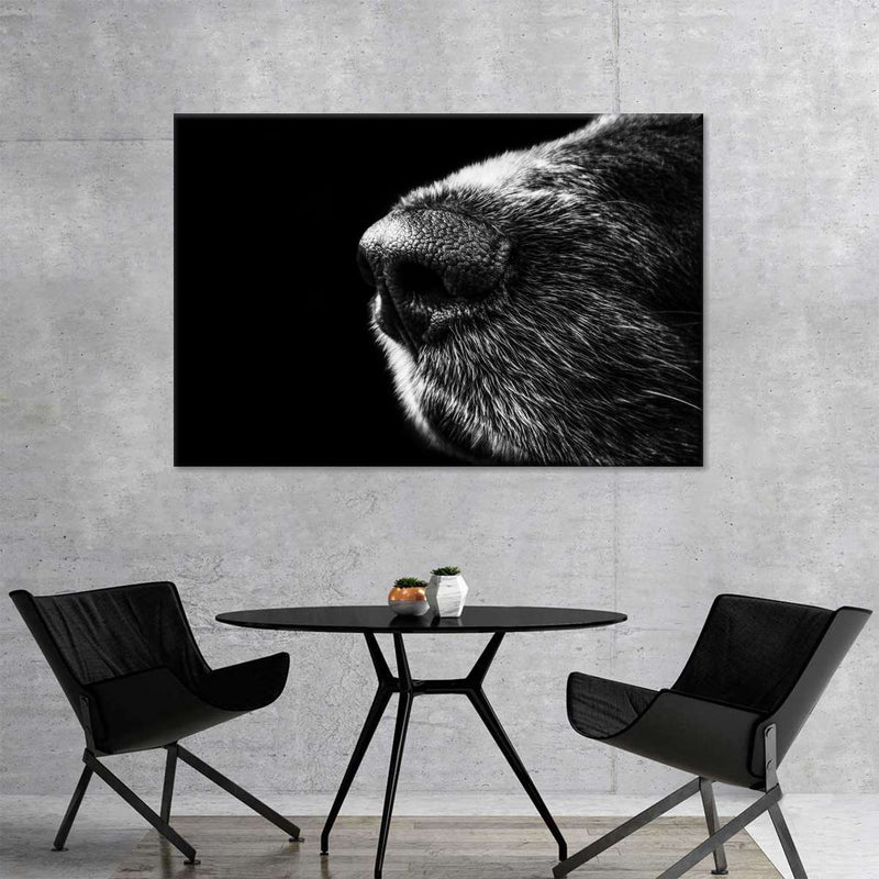 Dog's Nose Wall Art