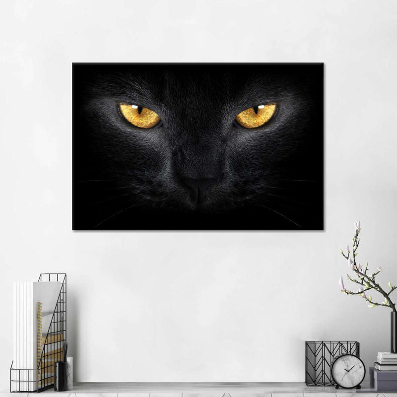 Yellow Eyed Cat Wall Art