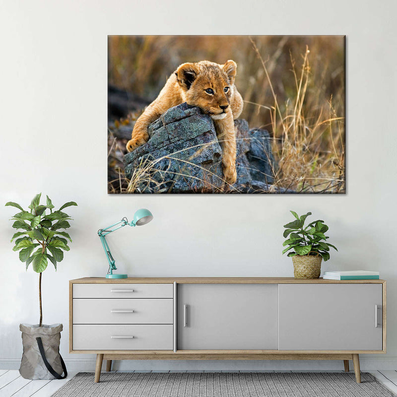 Safari Lion Cub Wall Art