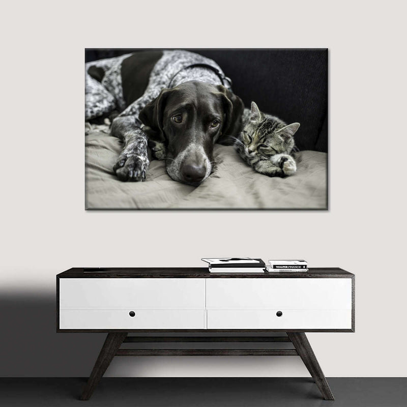 Dog And Cat Friends Wall Art