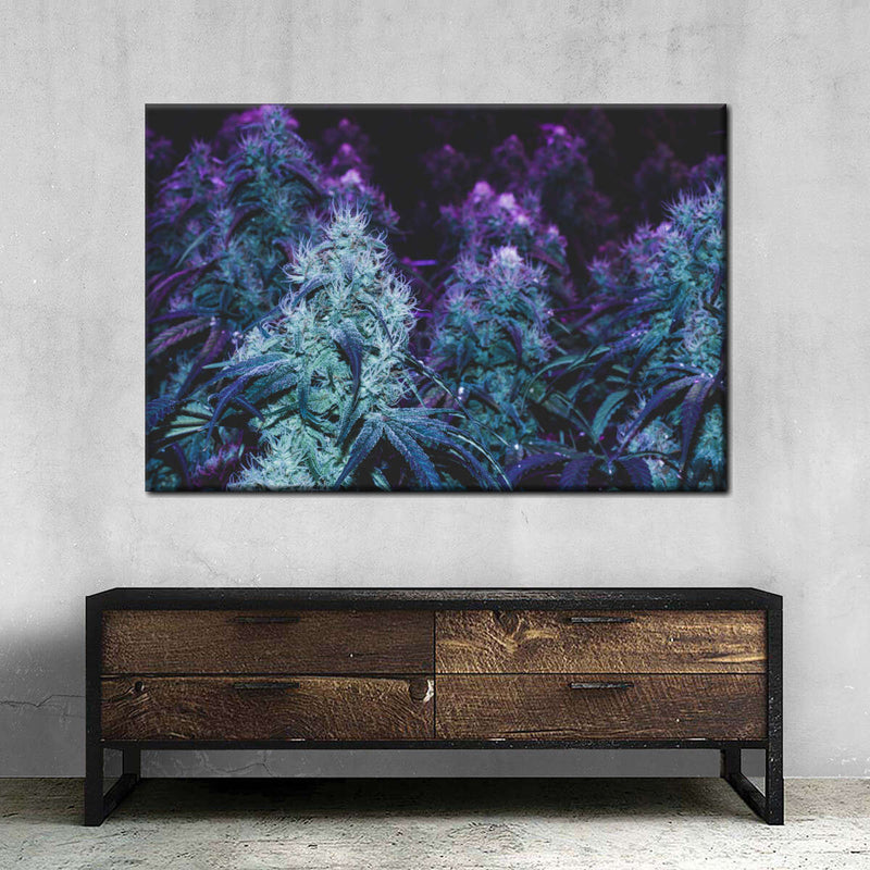 Flowering Purple Cannabis Wall Art