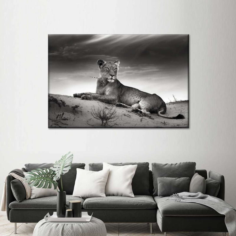 Lioness Wall Art