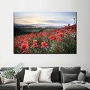 Field Of Red Poppies Wall Art