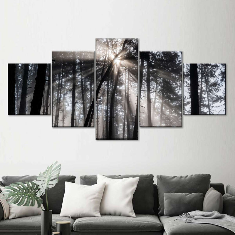 Forest Sun Beam Wall Art