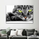 Green Eyed Cat Wall Art