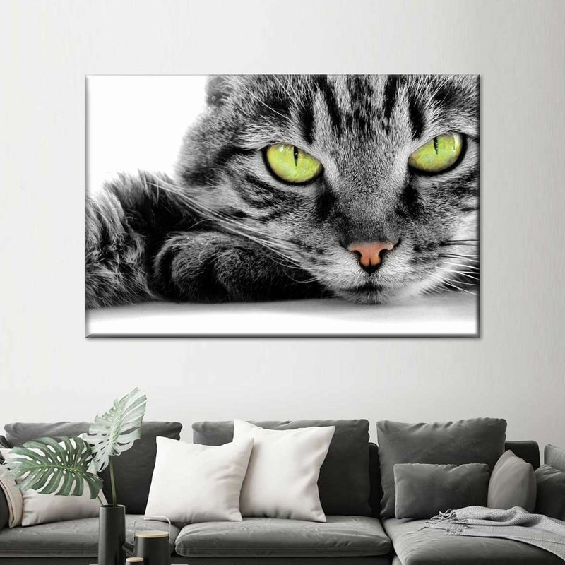 Green Eyed Cat Wall Art