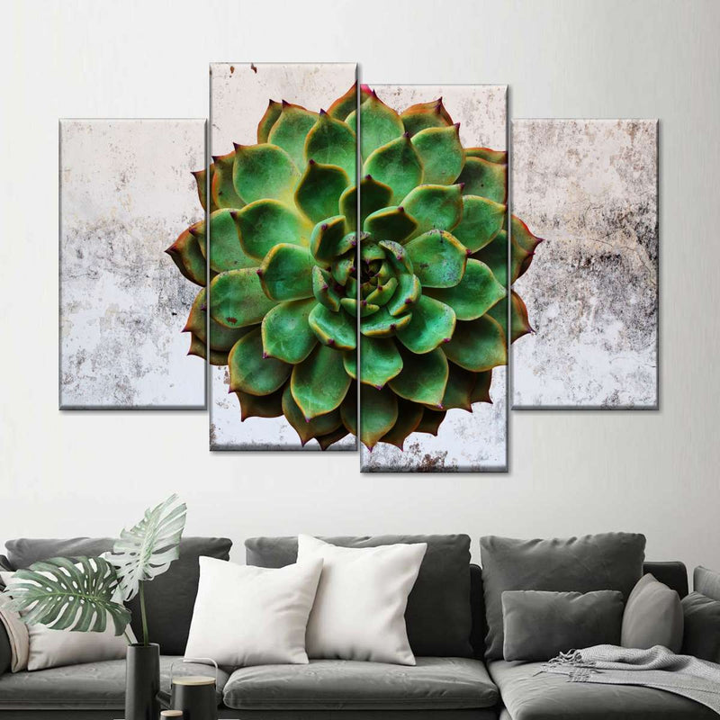 Grunge Succulent Wall Art