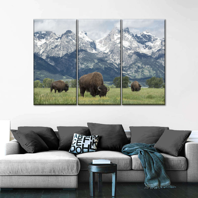 Grazing Teton Bison Wall Art