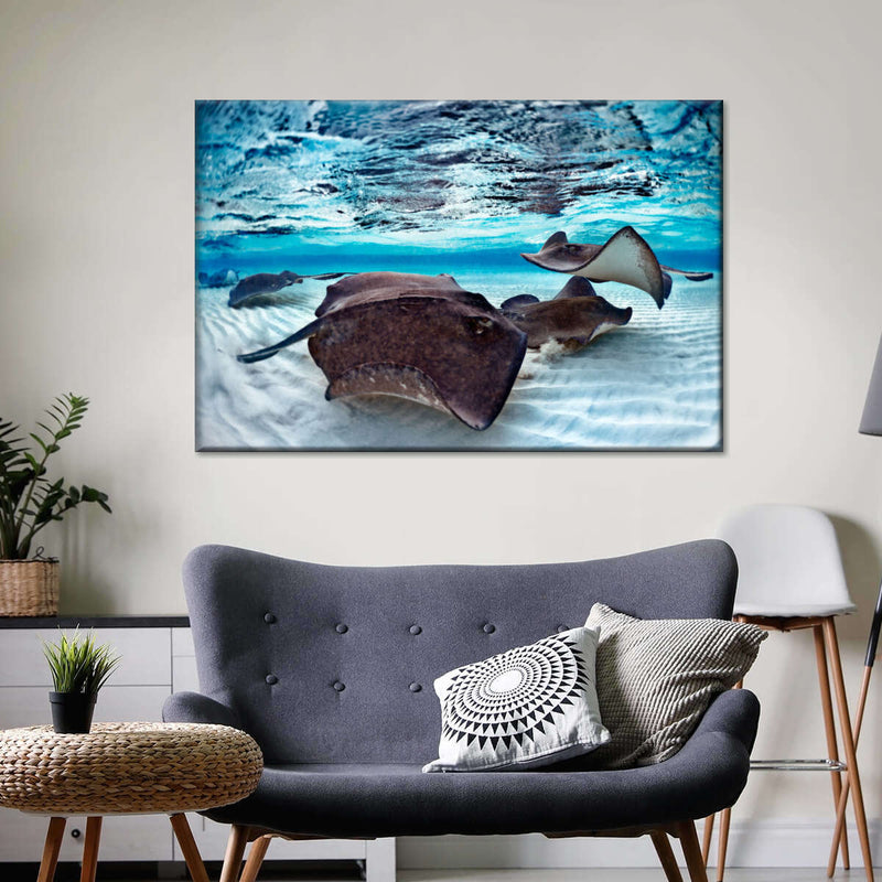 Stingrays Sea Life Wall Art