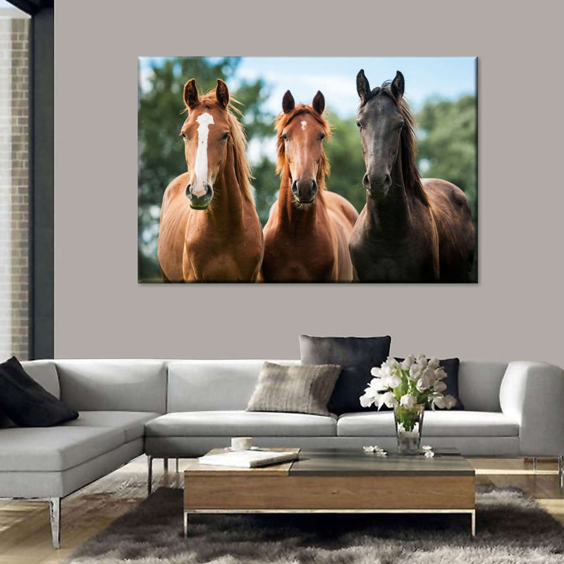 Young Horses Wall Art