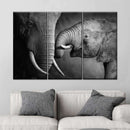Elephant Affection Wall Art