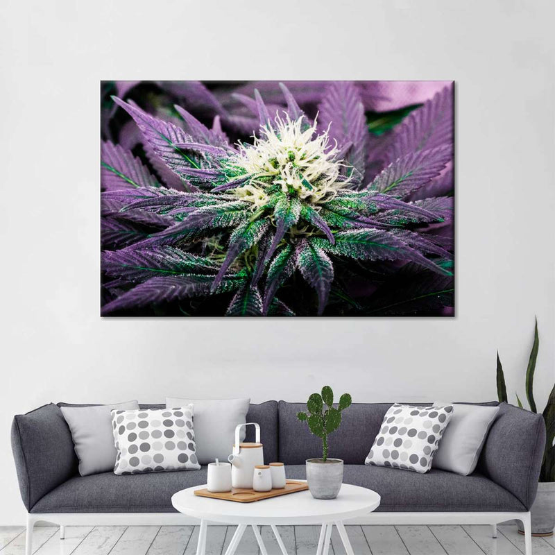 Rare Cannabis Plant Wall Art