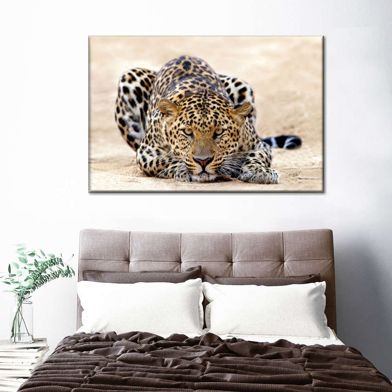 Watchful Jaguar Wall Art