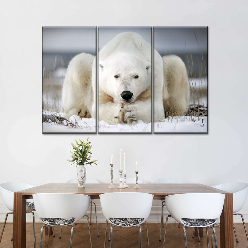 Yoga Polar Bear Wall Art