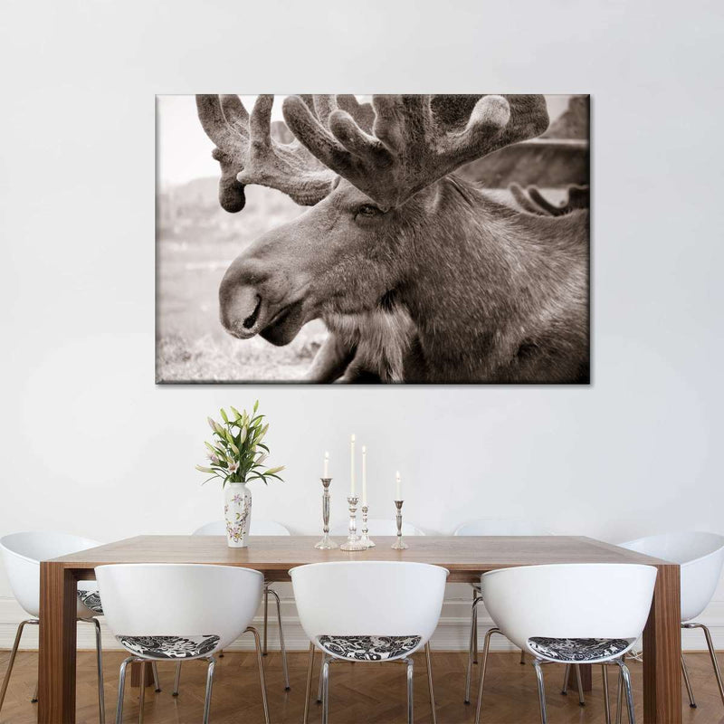 Moose Head Wall Art