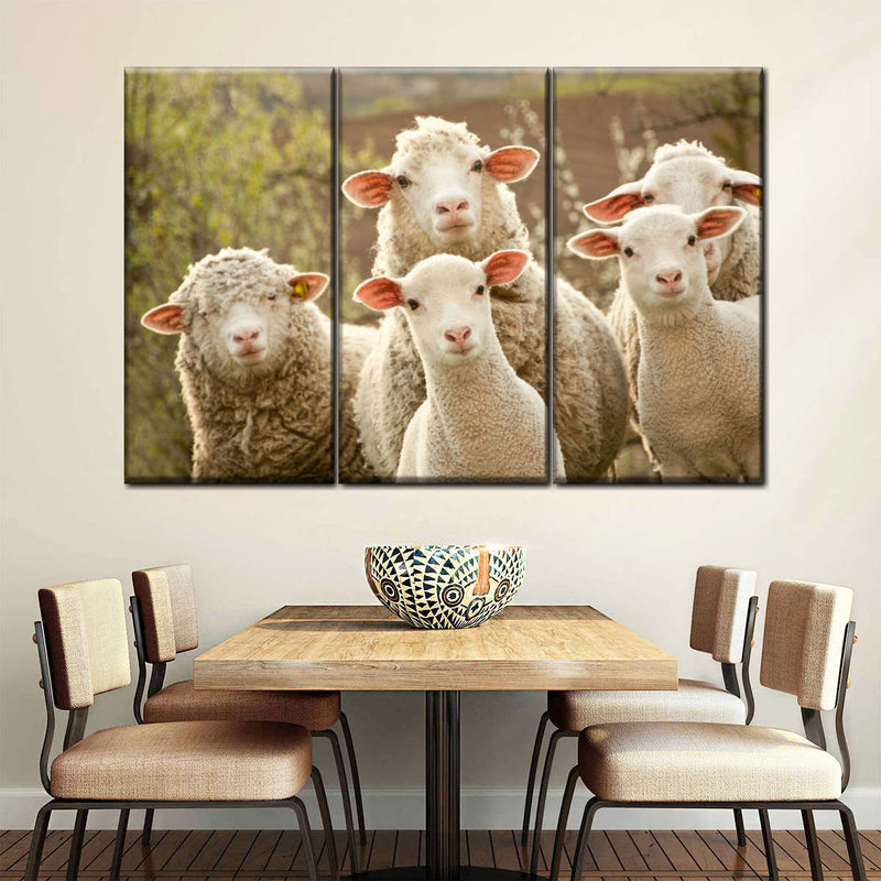 Stunned Sheep Wall Art