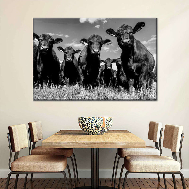 Monochrome Angus Cows Wall Art