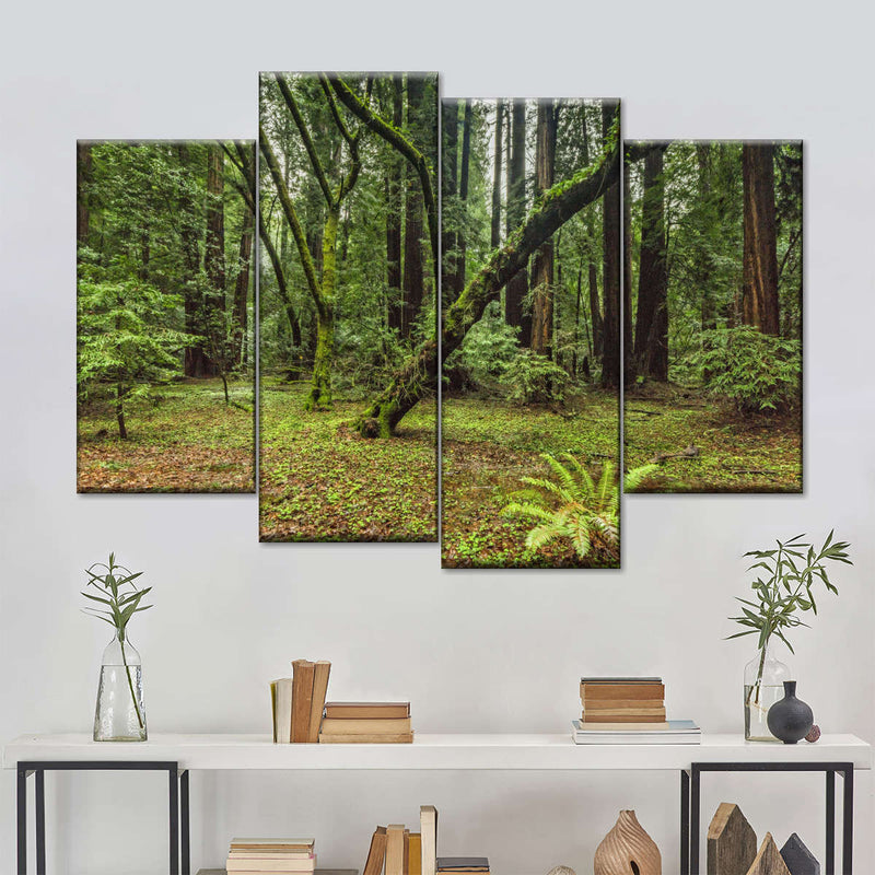 Muir Woods Forest Wall Art