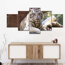 Resting White Tiger Wall Art