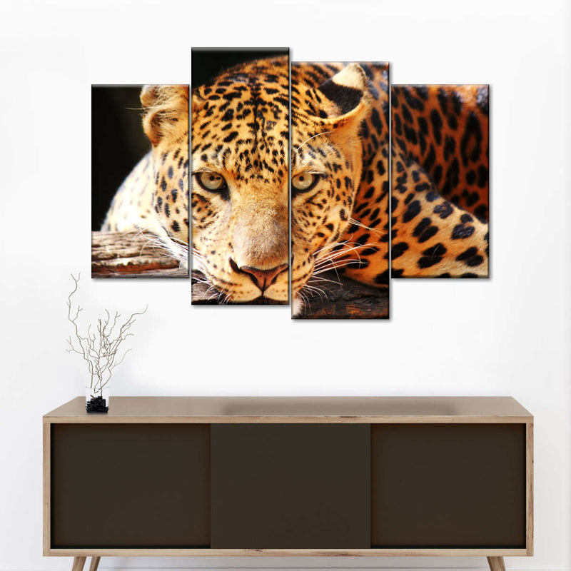 Leopard Gaze Wall Art