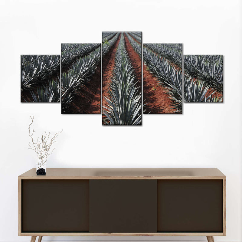 Agave Field Wall Art