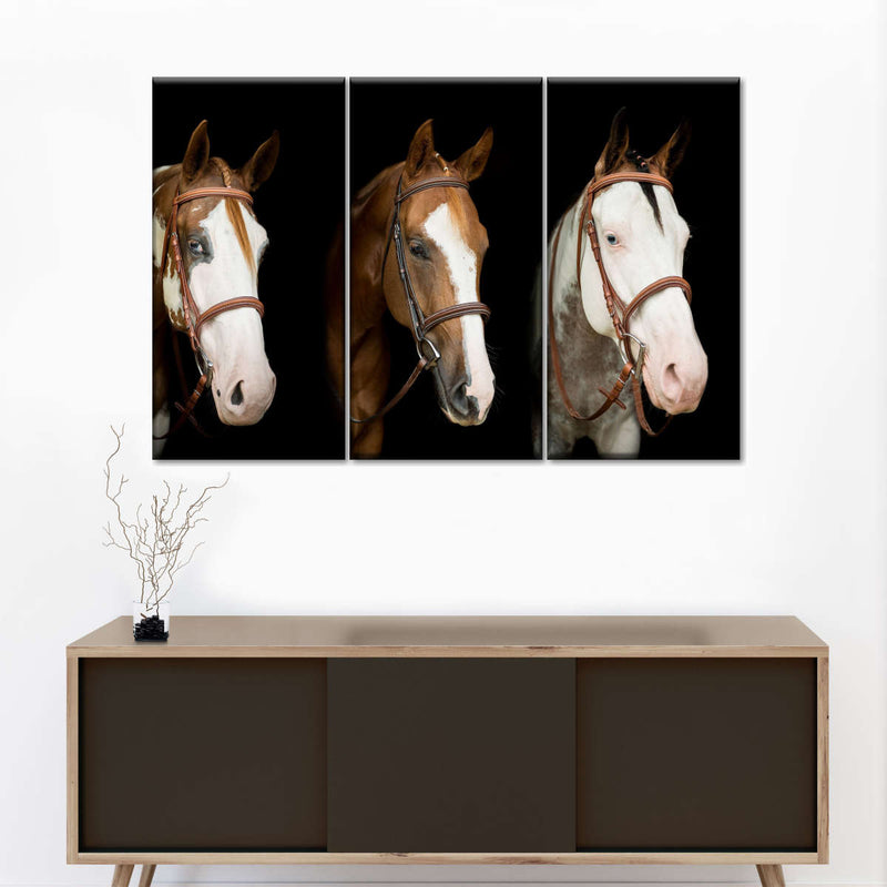 American Paint Horses Wall Art