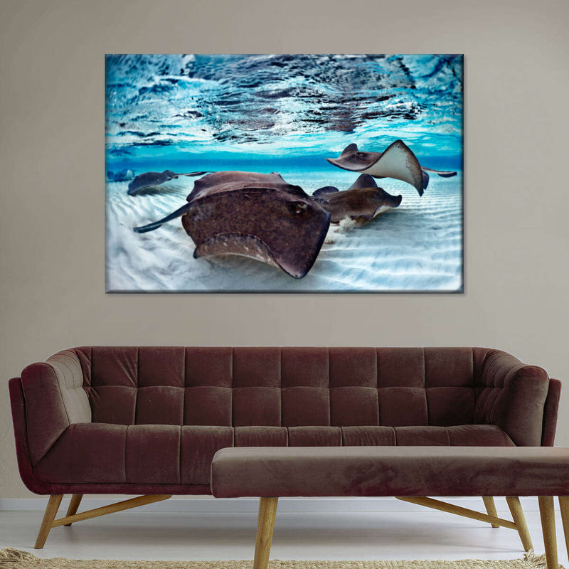 Stingrays Sea Life Wall Art