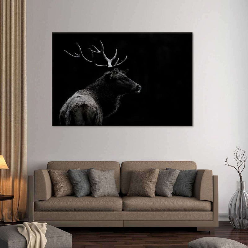 Monochrome Bull Elk Wall Art