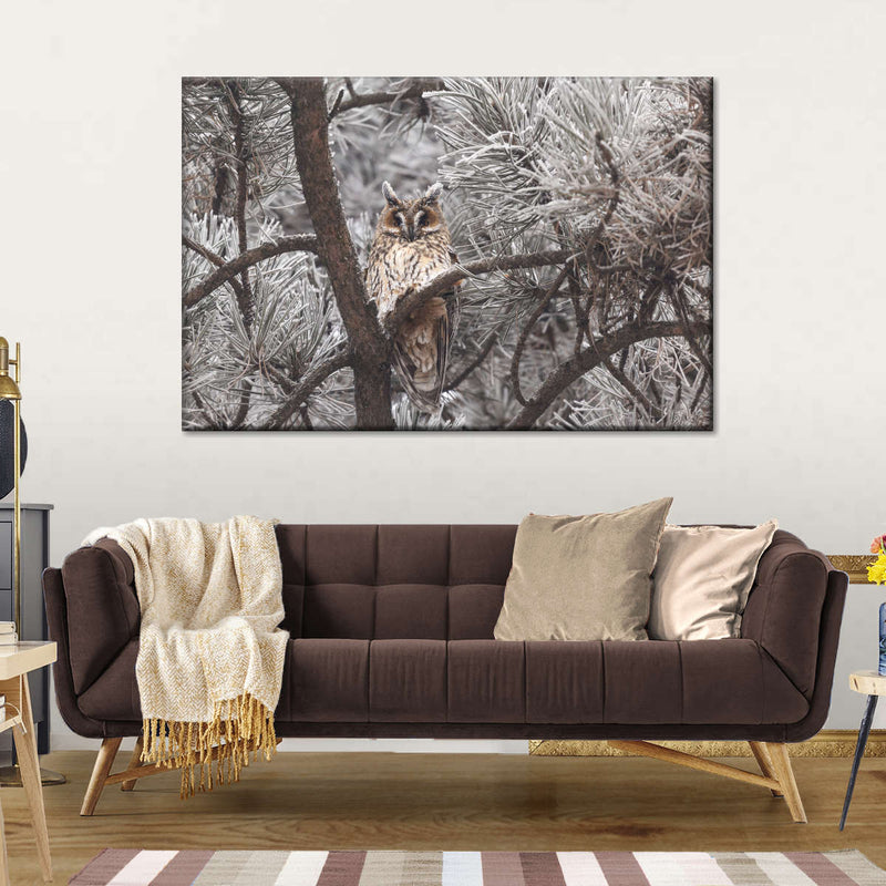 Great Horned Owl Wall Art