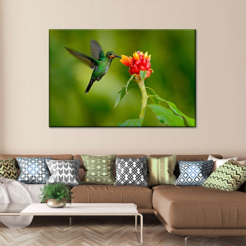 Flower And Green Hummingbird Wall Art