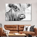 Long Haired Cow Wall Art