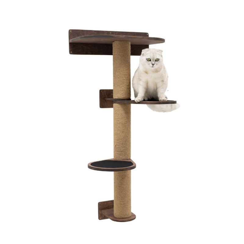 Medium Cat Tree – Dark Walnut, photo 5 of 8