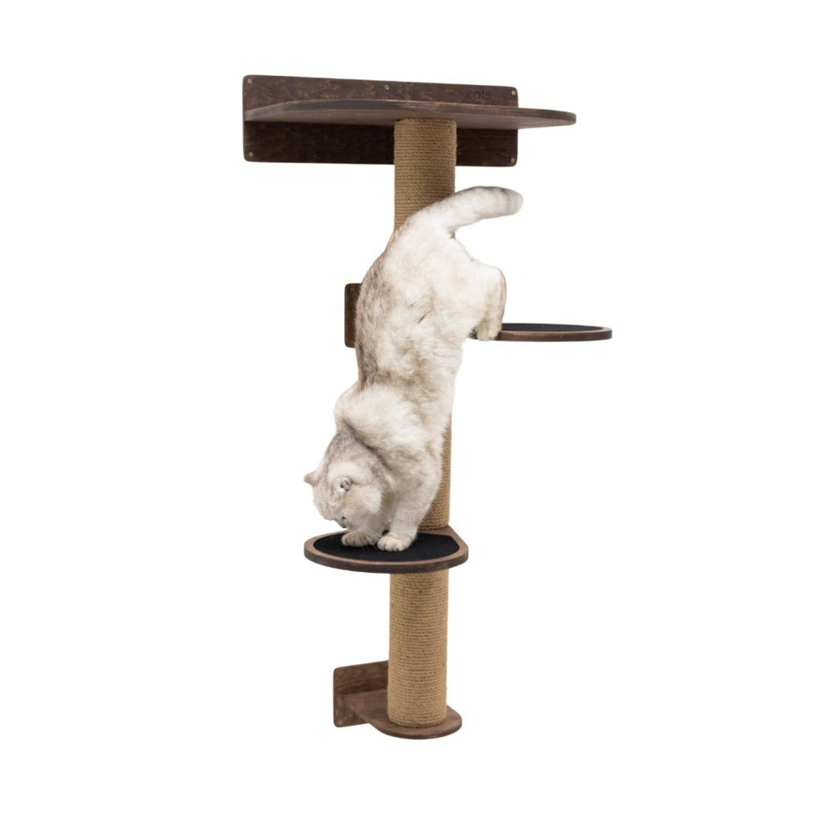 Medium Cat Tree – Dark Walnut, photo 3 of 8