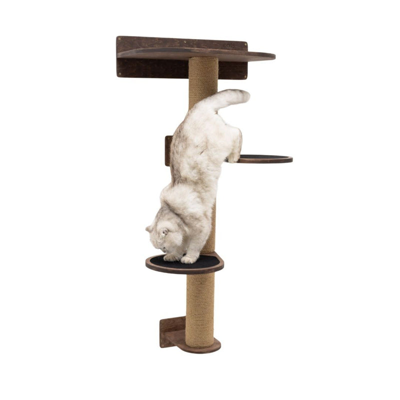 Medium Cat Tree – Dark Walnut, photo 3 of 8