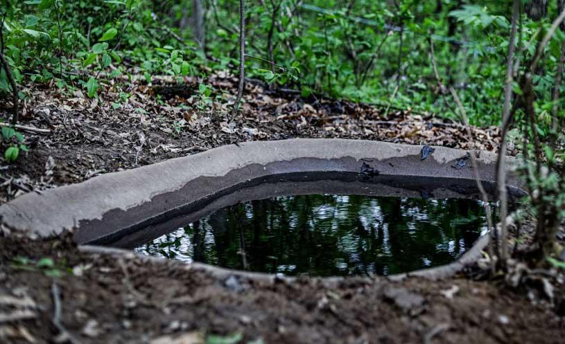 Earth Blind — Medium Earth Pond (50 Gallon), photo 4 of 4