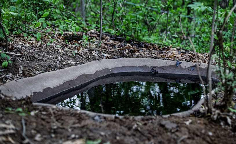 Earth Blind — Medium Earth Pond (50 Gallon), photo 4 of 4