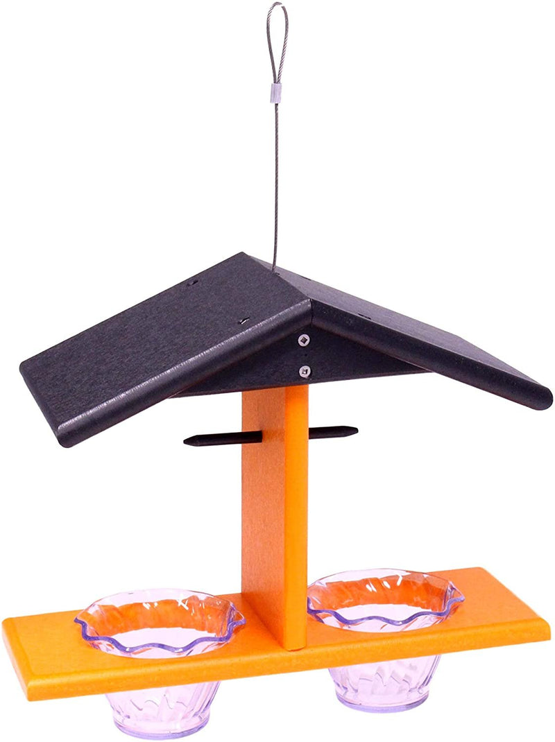 Oriole Bird Feeder, Double-Cup Jelly Oriole Feeder with Pegs for Orange Halves