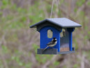 Amish-Made Bluebird Feeder, Made With Poly Lumber, For Feeding Mealworms by AmishToyBox.com