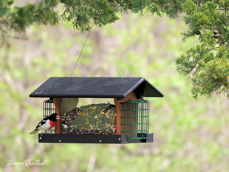 Amish-Made Deluxe Bird Feeder with Suet Holder, Made With Poly Lumber