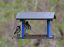 Amish-Made Bluebird Feeder, Made With Poly Lumber, For Feeding Mealworms by AmishToyBox.com