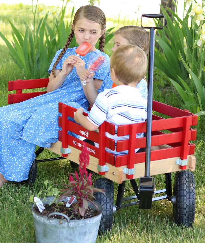 Berlin Flyer Sport Wagon - Model F410 - Amish Made in Ohio, USA