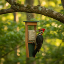 Pileated Woodpecker Suet Bird Feeder - Holds 2 Suet Cakes
