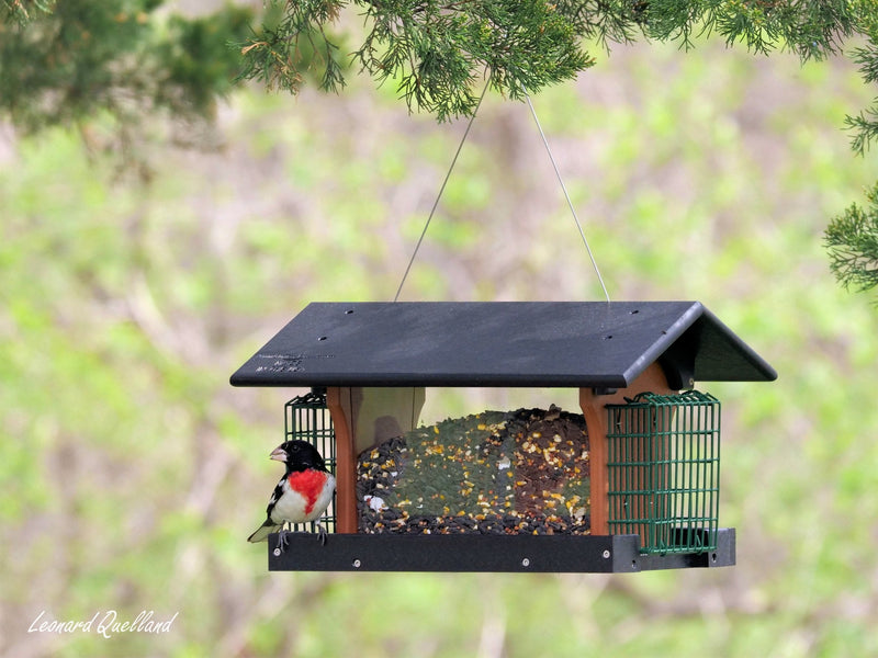 Amish-Made Deluxe Bird Feeder with Suet Holder, Made With Poly Lumber