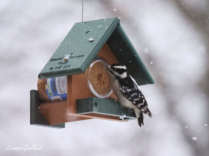 Peanut Butter Bird Feeder, Fits 18 Oz. Jar of Peanut Butter, Amish-Made