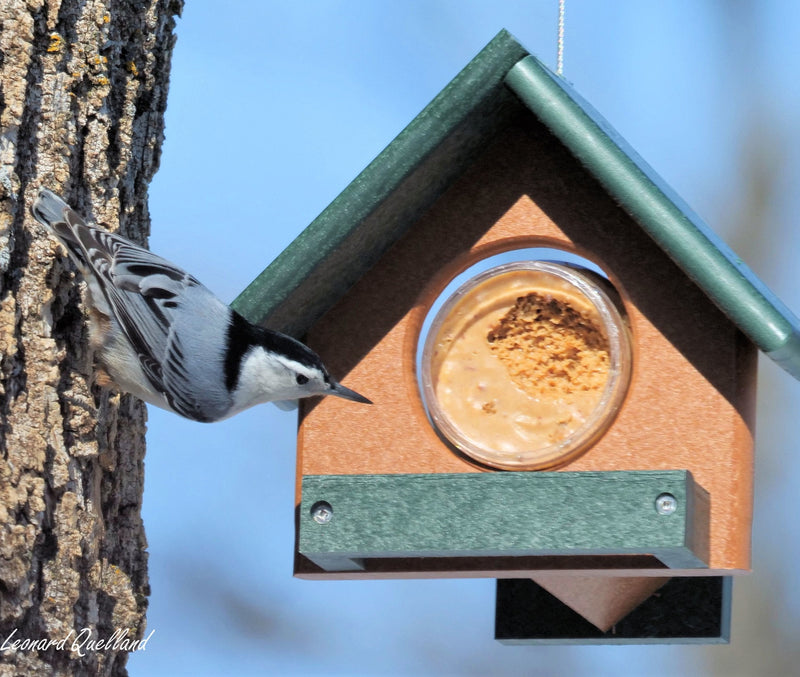 Peanut Butter Bird Feeder, Fits 18 Oz. Jar of Peanut Butter, Amish-Made