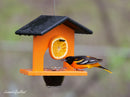 Hanging Oriole Jelly and Orange Bird Feeder, Eco-Friendly Poly Lumber