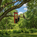 Pileated Woodpecker Suet Bird Feeder - Holds 2 Suet Cakes by AmishToyBox.com